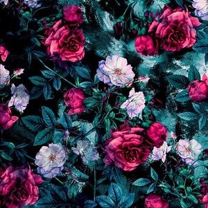 Meet your Posher, Asia